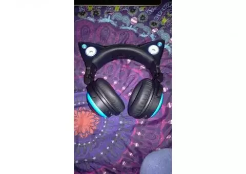 LED Cat Ear Headphones (Blue)